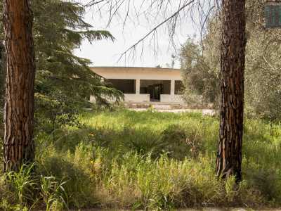A rompere l�incanto per�, pochi metri pi� avanti, � la visione di alcune delle tante strutture derelitte dell�area, che incontriamo a pochi passi l�una dall�altra. Sulla sinistra infatti si staglia un edificio a due piani quasi totalmente privo di pareti...